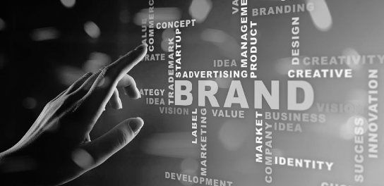 Illustration branding